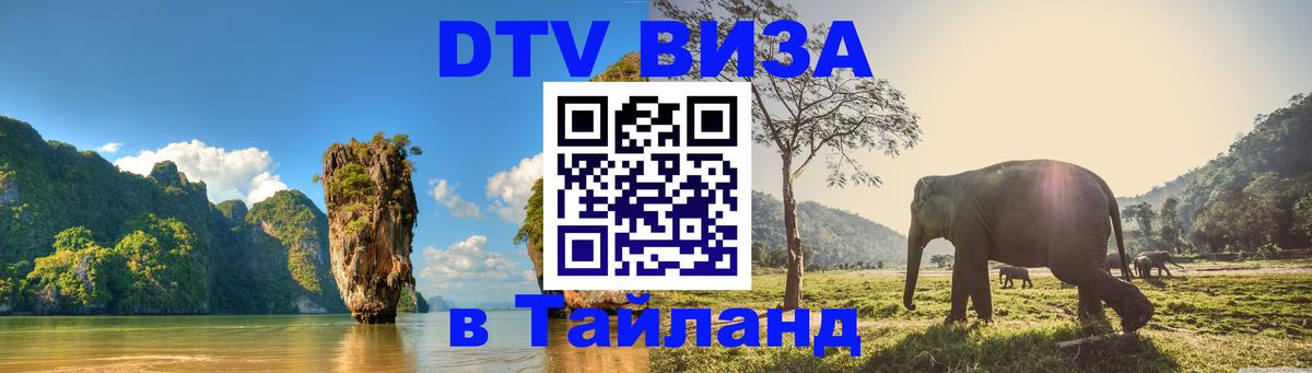 Оформление DTV визы под ключ: стоимость и тарифы, только загранпаспорт - 18.11.2025 